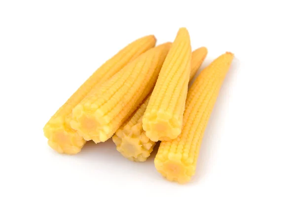 Isolated Mature Tasty Boiled Corn. — Stock Photo, Image