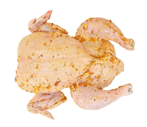 Pollo crudo con hierbas sobre fondo blanco . — Foto de Stock