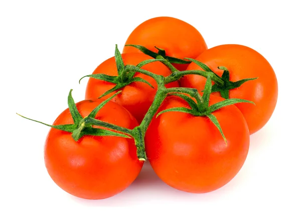 Tomates rojos aislados sobre un fondo blanco — Foto de Stock