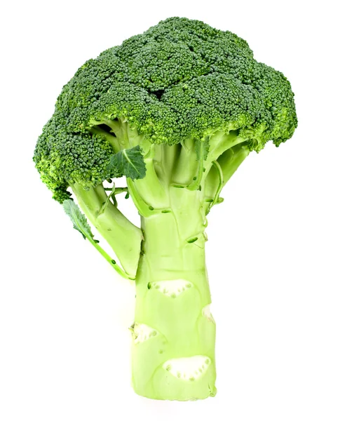 Broccoli verdi succosi freschi isolati — Foto Stock