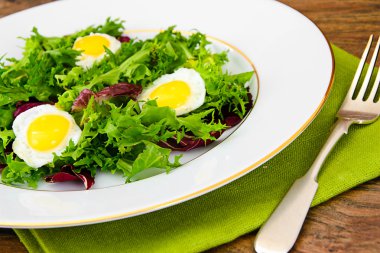Salata karışımı Batavi, Frise, Radicchio, hindiba, diyet Mel