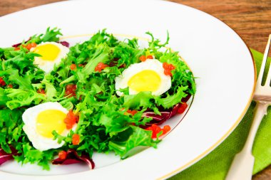 Salata karışımı Batavi, Frise, Radicchio, hindiba, diyet Mel