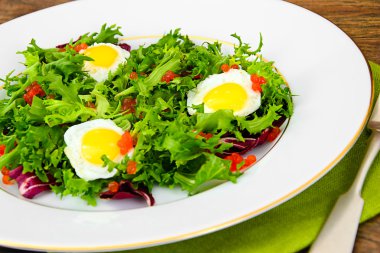 Salata karışımı Batavi, Frise, Radicchio, hindiba, diyet Mel