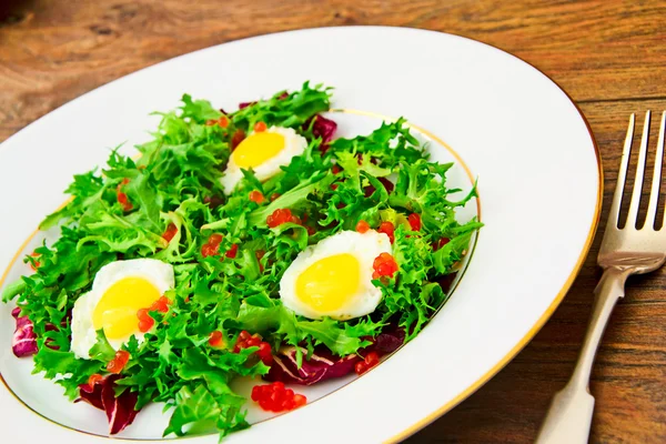 Blanding av salat, batavisk, pommes frites, radicchio, sikori, Mel i kosten – stockfoto