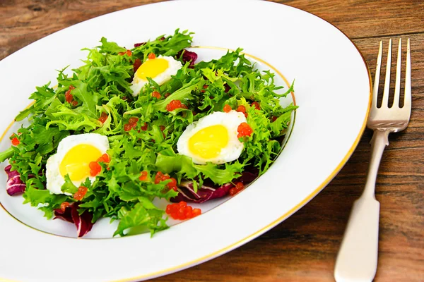 Salata karışımı Batavi, Frise, Radicchio, hindiba, diyet Mel