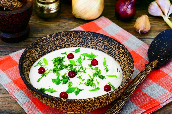 Sopa de purê de pastinaga com creme, pílula, cebola, cranberries — Fotografia de Stock