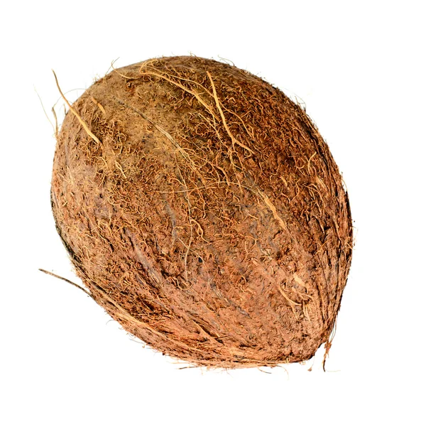 白い背景に隔離されたココナッツ — ストック写真