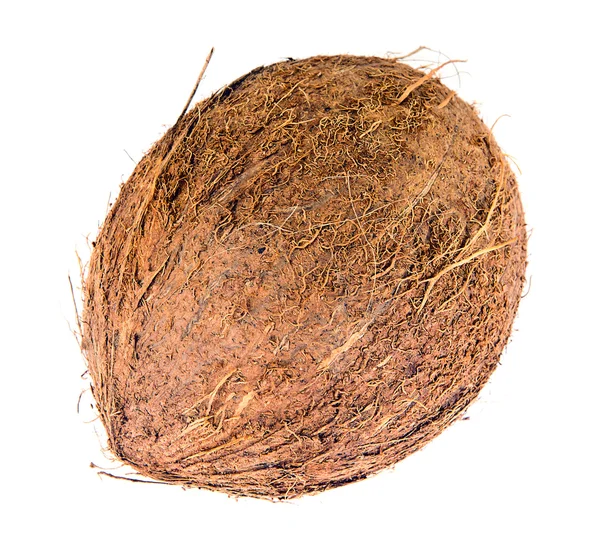 Kokosnoot geïsoleerd op een witte achtergrond — Stockfoto