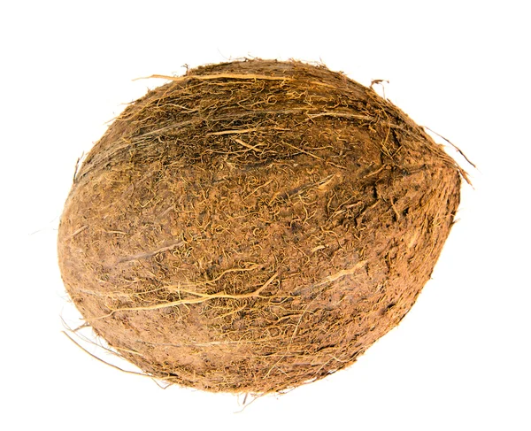 Kokosnoot geïsoleerd op een witte achtergrond — Stockfoto