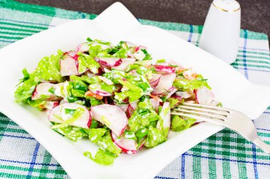 Diyet salata taze sulu turp, yeşil soğan, marul, Ca