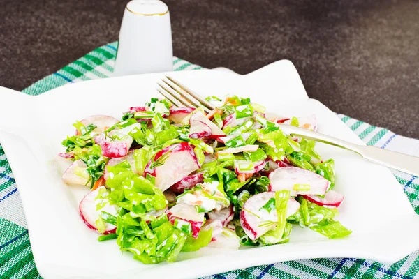 Insalata alimentare di ravanello fresco succoso, cipolle verdi, lattuga, Ca — Foto Stock