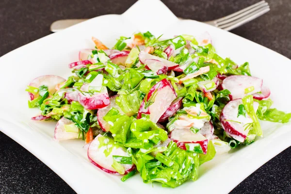 Salada dietética de Rabanete Suculento Fresco, Cebolas Verdes, Alface, Ca — Fotografia de Stock