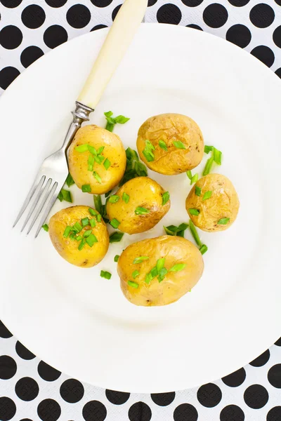 Patates ezmesi ve yeşil soğan ile — Stok fotoğraf