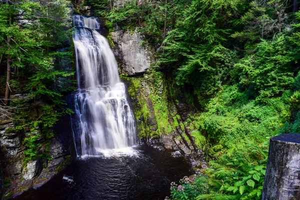 Le sommet des chutes — Photo