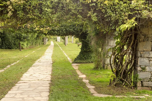 O paisagismo do parque — Fotografia de Stock