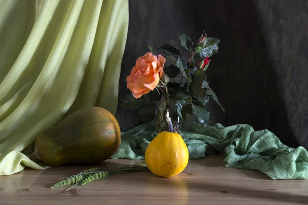 Pumpkins and rose — Stock Photo, Image