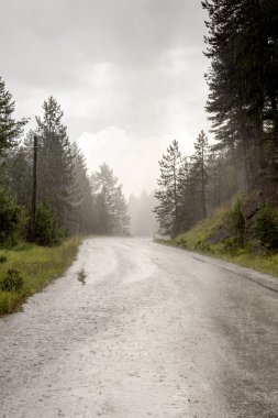 Bir dağ yolda yağmur