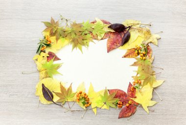 sonbahar yaprakları