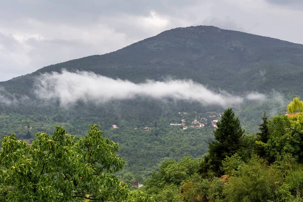 Paisagem Montanhas Floresta Afogando Nevoeiro Verão Dia Nublado Peloponeso Grécia — Fotografia de Stock