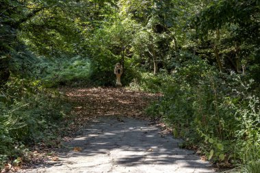 Yürüyüş. Güneşli bir yaz gününde dağlık bir ormanda yürüyüş yolu daralıyor (Pieria, Yunanistan, Olimpos Dağı)