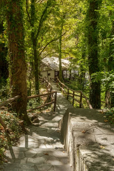 Caminhadas Escadas Estreitas Pedra Floresta Montanhas Dia Ensolarado Verão Grécia — Fotografia de Stock