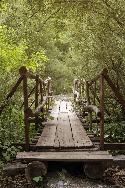 Ponte Madeira Velha Sobre Rio Uma Floresta Grécia Peloponeso Dia — Fotografia de Stock