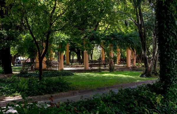 Famoso Parque Ciudad Edesa Macedonia Central Grecia Con Bosque Sicómoros — Foto de Stock