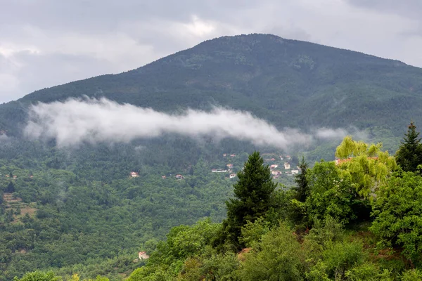 Paisaje Montañas Bosques Ahogados Niebla Día Nublado Verano Peloponeso Grecia —  Fotos de Stock