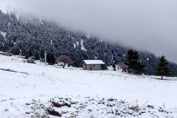 Tájkép Kilátás Kalavrita Ski Resort Görögország Peloponnesus Télen Ködös Felhős — Stock Fotó