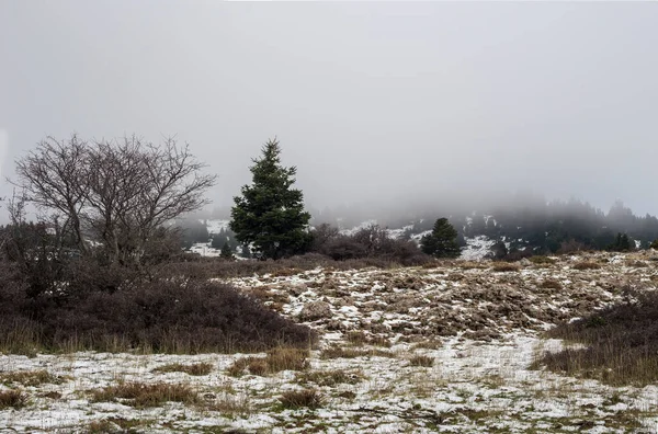 Landscape View Kalavrita Ski Resort Greece Peloponnesus Winter Foggy Cloudy — Stock Photo, Image