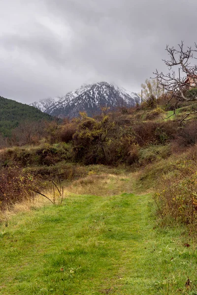 冬の曇りの日には 前景に雪に覆われた山と緑の芝生のピーク ギリシャ ペロポネソス — ストック写真