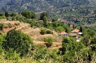 Kırsal alan. Güneşli bir yaz gününde Achaea bölgesinin dağlarında küçük bir köy. (Yunanistan, Mora dili)