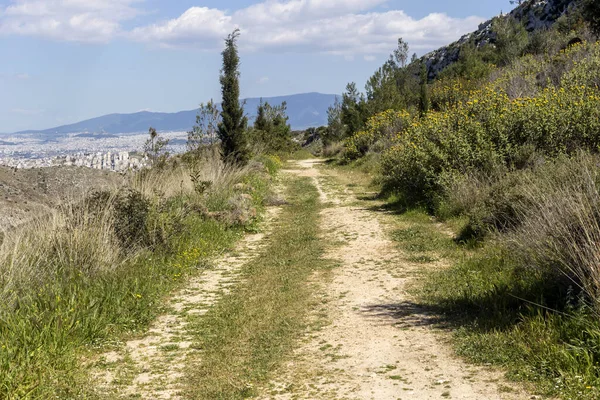 View Environmental Park Peramatos Schistos Athens District Greece Sunny Spring — Stock Photo, Image