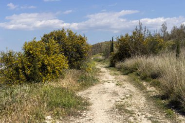 Çevre parkı Peramatos - Atina Bölgesi 'nde (Yunanistan) güneşli bir bahar gününde Schistos