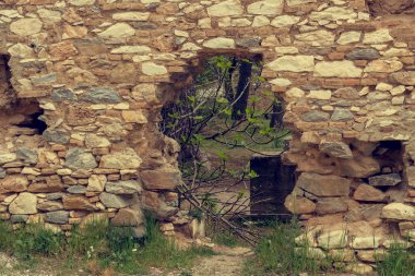 Doku, desen. Arka plandaki doğal taştan yapılmış bej renkli duvar bitkilerle kaplı.