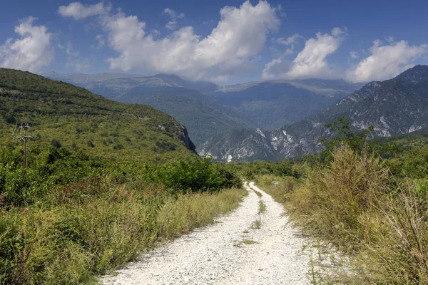 Bosque Montañoso Sendero Día Soleado Verano Macedonia Central Grecia —  Fotos de Stock