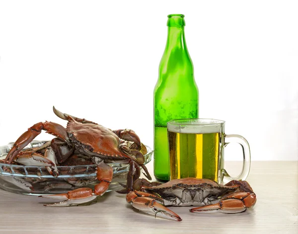 螃蟹和啤酒 — 图库照片