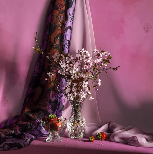 Vernal çiçekli dalları — Stok fotoğraf