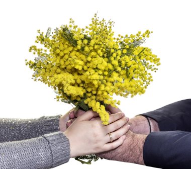 Mimoza buket