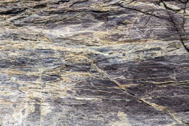 Doku vahşi, doğal, taş arka plan yakın plan