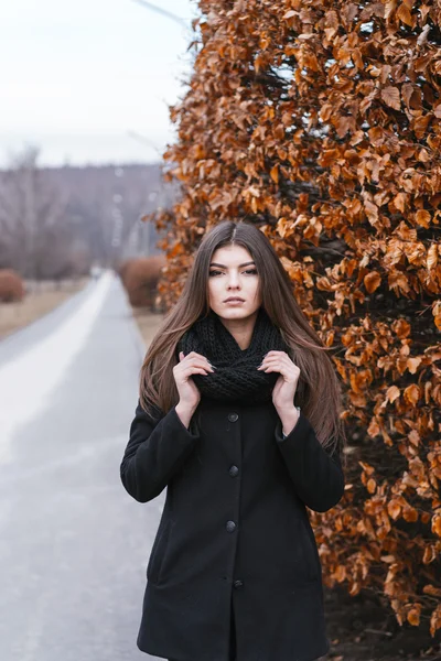 Beautiful girl near autumn tree — Stock Photo, Image