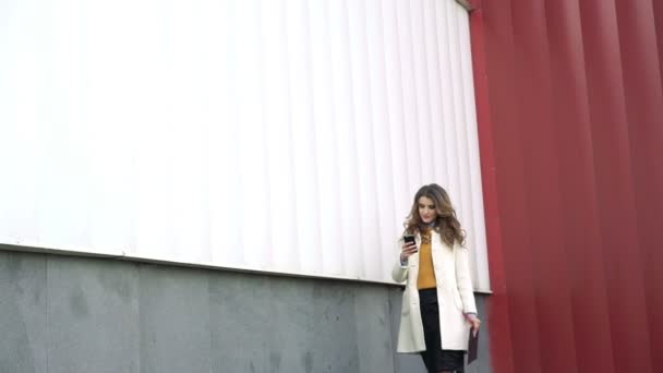 Stile signora andare all'aperto, parlando al telefono, tenendo il taccuino e guardando — Video Stock