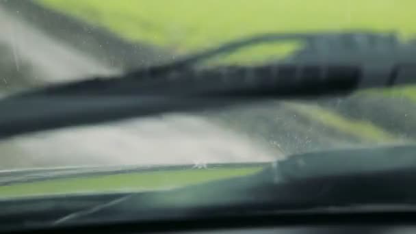 Regen auf der grünen Wiese Blick durch die Windschutzscheibe des Autos — Stockvideo