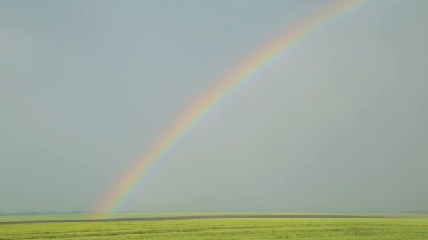 Regenbogen über den grünen Feldern — Stockvideo