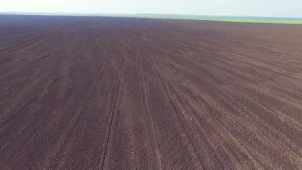 Luchtfoto van de velden, de vruchtbare grond, groene aanbreken, lente, snel verplaatsen — Stockvideo