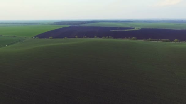 Vue aérienne des champs verdoyants près du village. Nature — Video