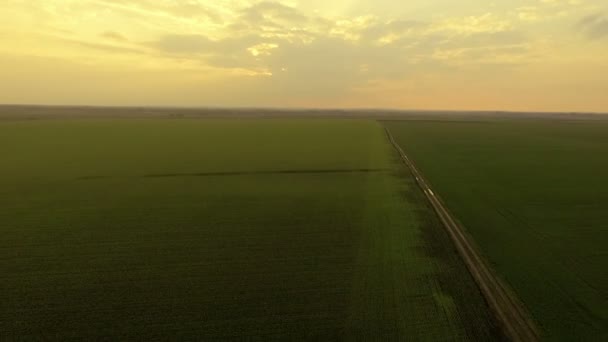 Luchtfoto van gouden zonsondergang op een achtergrond van groene velden, op een afstand houden — Stockvideo