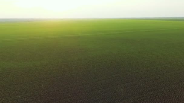 Vista aérea de la puesta del sol sobre un fondo de campos verdes brillantes y horizonte — Vídeo de stock