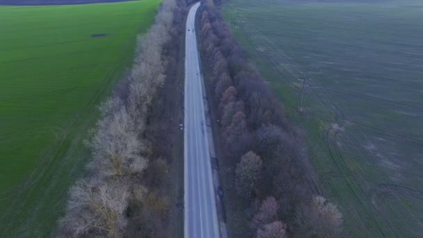 Magnifique vue aérienne des champs de jeunes blés. 4K — Video