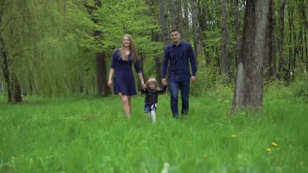 Junge Familie mit Tochter, die auf grünem Gras im Park spaziert. 4k — Stockvideo